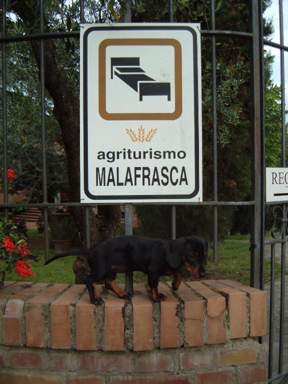 Agriturismo Malafrasca Siena Exterior photo